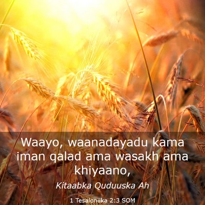 Picture 03 - 1 Tesaloniika 2:3 SOM - Waayo, waanadayadu kama iman qalad ama wasakh ama - Bible Verse Picture