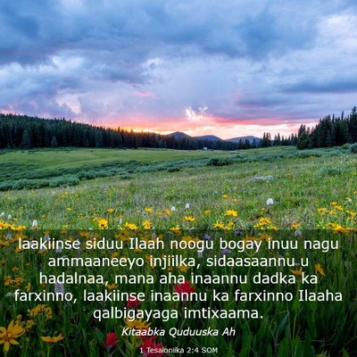 Picture 03 - 1 Tesaloniika 2:4 SOM - laakiinse siduu Ilaah noogu bogay inuu nagu - Bible Verse Picture