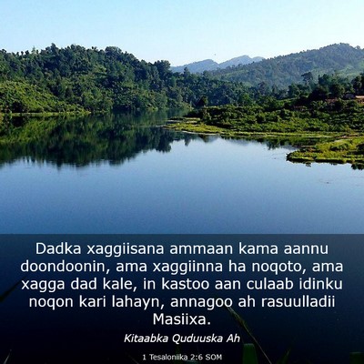 Picture 03 - 1 Tesaloniika 2:6 SOM - Dadka xaggiisana ammaan kama aannu doondoonin, - Bible Verse Picture