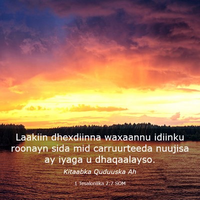 Picture 03 - 1 Tesaloniika 2:7 SOM - Laakiin dhexdiinna waxaannu idiinku roonayn sida - Bible Verse Picture