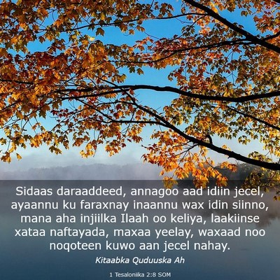 Picture 03 - 1 Tesaloniika 2:8 SOM - Sidaas daraaddeed, annagoo aad idiin jecel, - Bible Verse Picture