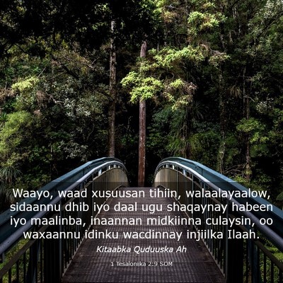Picture 03 - 1 Tesaloniika 2:9 SOM - Waayo, waad xusuusan tihiin, walaalayaalow, - Bible Verse Picture