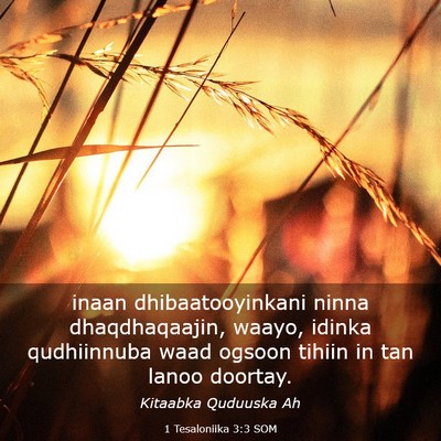 Picture 03 - 1 Tesaloniika 3:3 SOM - inaan dhibaatooyinkani ninna dhaqdhaqaajin, - Bible Verse Picture