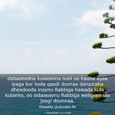 Picture 03 - 1 Tesaloniika 4:17 SOM - dabadeedna kuweenna nool oo hadha ayaa iyaga kor - Bible Verse Picture