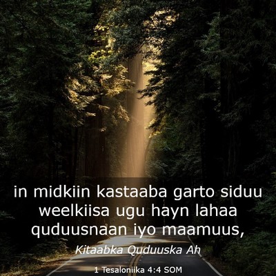 Picture 03 - 1 Tesaloniika 4:4 SOM - in midkiin kastaaba garto siduu weelkiisa ugu - Bible Verse Picture
