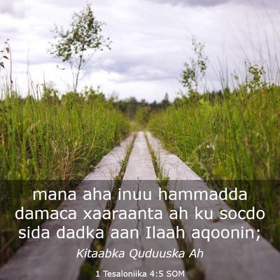 Picture 03 - 1 Tesaloniika 4:5 SOM - mana aha inuu hammadda damaca xaaraanta ah ku - Bible Verse Picture
