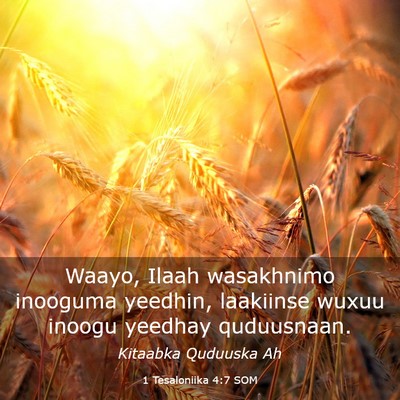 Picture 03 - 1 Tesaloniika 4:7 SOM - Waayo, Ilaah wasakhnimo inooguma yeedhin, - Bible Verse Picture