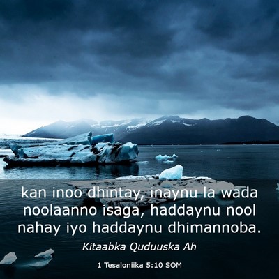 Picture 03 - 1 Tesaloniika 5:10 SOM - kan inoo dhintay, inaynu la wada noolaanno isaga, - Bible Verse Picture