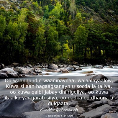 Picture 03 - 1 Tesaloniika 5:14 SOM - Oo waannu idin waaninaynaa, walaalayaalow, Kuwa - Bible Verse Picture