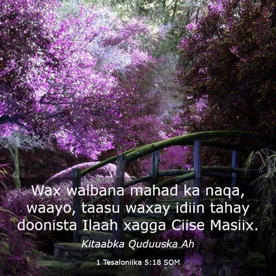 Picture 03 - 1 Tesaloniika 5:18 SOM - Wax walbana mahad ka naqa, waayo, taasu waxay - Bible Verse Picture