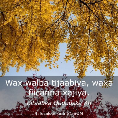 Picture 03 - 1 Tesaloniika 5:21 SOM - Wax walba tijaabiya, waxa fiicanna - Bible Verse Picture