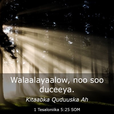 Picture 03 - 1 Tesaloniika 5:25 SOM - Walaalayaalow, noo soo - Bible Verse Picture