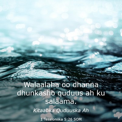 Picture 03 - 1 Tesaloniika 5:26 SOM - Walaalaha oo dhanna dhunkasho quduus ah ku - Bible Verse Picture