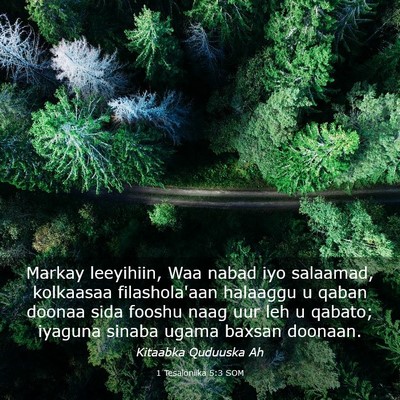 Picture 03 - 1 Tesaloniika 5:3 SOM - Markay leeyihiin, Waa nabad iyo salaamad, - Bible Verse Picture
