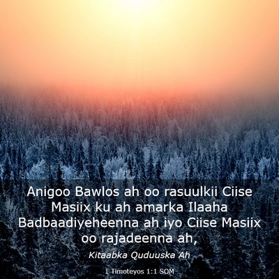 Picture 03 - 1 Timoteyos 1:1 SOM - Anigoo Bawlos ah oo rasuulkii Ciise Masiix ku ah - Bible Verse Picture