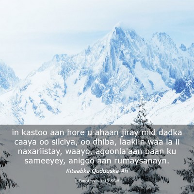 Picture 03 - 1 Timoteyos 1:13 SOM - in kastoo aan hore u ahaan jiray mid dadka caaya - Bible Verse Picture