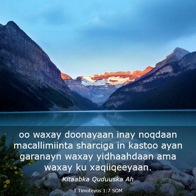 Picture 03 - 1 Timoteyos 1:7 SOM - oo waxay doonayaan inay noqdaan macallimiinta - Bible Verse Picture