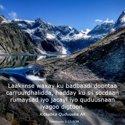 Picture 03 - 1 Timoteyos 2:15 SOM - Laakiinse waxay ku badbaadi doontaa - Bible Verse Picture