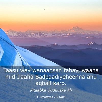 Picture 03 - 1 Timoteyos 2:3 SOM - Taasu way wanaagsan tahay, waana mid Ilaaha - Bible Verse Picture