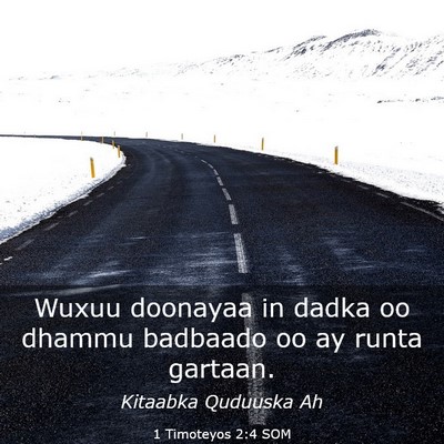 Picture 03 - 1 Timoteyos 2:4 SOM - Wuxuu doonayaa in dadka oo dhammu badbaado oo ay - Bible Verse Picture