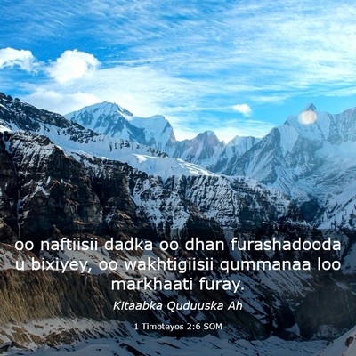 Picture 03 - 1 Timoteyos 2:6 SOM - oo naftiisii dadka oo dhan furashadooda u - Bible Verse Picture