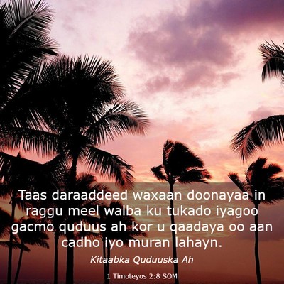 Picture 03 - 1 Timoteyos 2:8 SOM - Taas daraaddeed waxaan doonayaa in raggu meel - Bible Verse Picture
