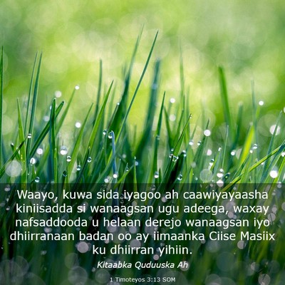 Picture 03 - 1 Timoteyos 3:13 SOM - Waayo, kuwa sida iyagoo ah caawiyayaasha - Bible Verse Picture