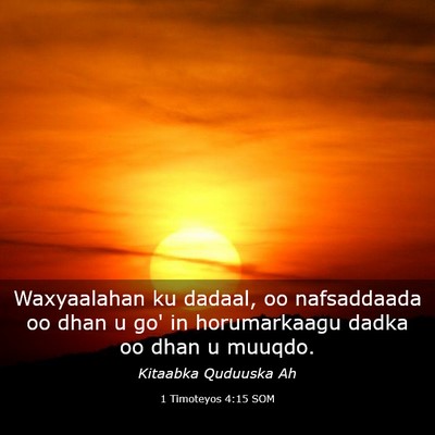 Picture 03 - 1 Timoteyos 4:15 SOM - Waxyaalahan ku dadaal, oo nafsaddaada oo dhan u - Bible Verse Picture