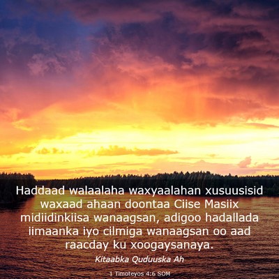 Picture 03 - 1 Timoteyos 4:6 SOM - Haddaad walaalaha waxyaalahan xusuusisid waxaad - Bible Verse Picture