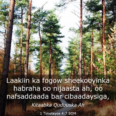 Picture 03 - 1 Timoteyos 4:7 SOM - Laakiin ka fogow sheekooyinka habraha oo nijaasta - Bible Verse Picture