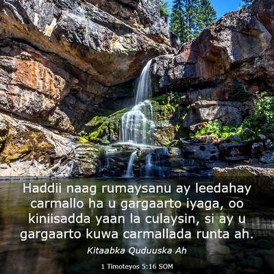 Picture 03 - 1 Timoteyos 5:16 SOM - Haddii naag rumaysanu ay leedahay carmallo ha u - Bible Verse Picture