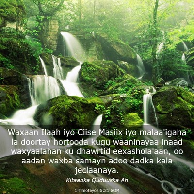 Picture 03 - 1 Timoteyos 5:21 SOM - Waxaan Ilaah iyo Ciise Masiix iyo malaa'igaha la - Bible Verse Picture