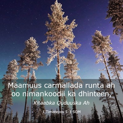 Picture 03 - 1 Timoteyos 5:3 SOM - Maamuus carmallada runta ah oo nimankoodii ka - Bible Verse Picture