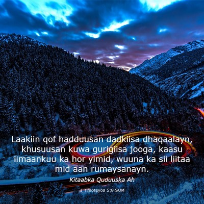 Picture 03 - 1 Timoteyos 5:8 SOM - Laakiin qof hadduusan dadkiisa dhaqaalayn, - Bible Verse Picture