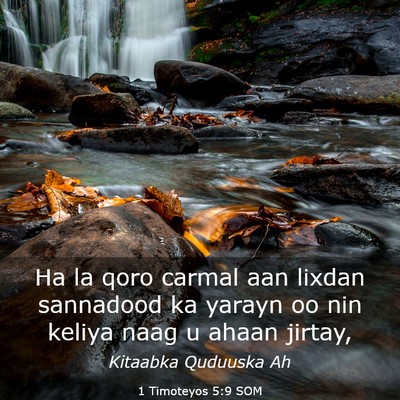 Picture 03 - 1 Timoteyos 5:9 SOM - Ha la qoro carmal aan lixdan sannadood ka yarayn - Bible Verse Picture