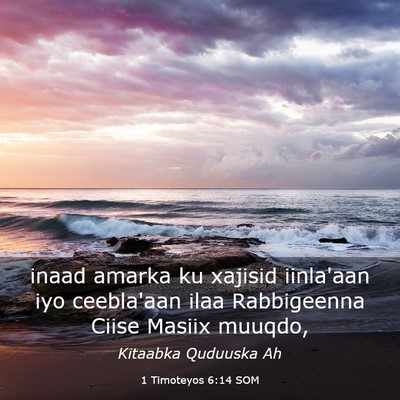 Picture 03 - 1 Timoteyos 6:14 SOM - inaad amarka ku xajisid iinla'aan iyo ceebla'aan - Bible Verse Picture