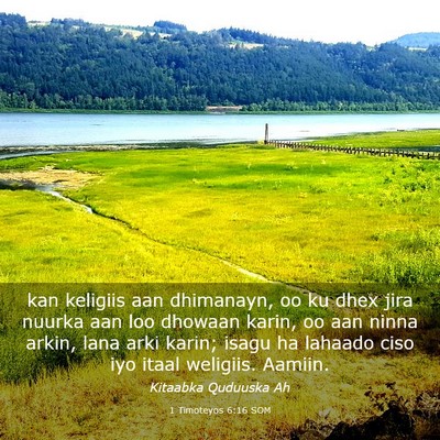 Picture 03 - 1 Timoteyos 6:16 SOM - kan keligiis aan dhimanayn, oo ku dhex jira - Bible Verse Picture