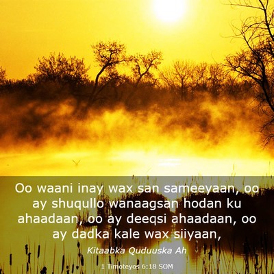 Picture 03 - 1 Timoteyos 6:18 SOM - Oo waani inay wax san sameeyaan, oo ay shuqullo - Bible Verse Picture