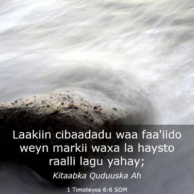 Picture 03 - 1 Timoteyos 6:6 SOM - Laakiin cibaadadu waa faa'iido weyn markii waxa - Bible Verse Picture
