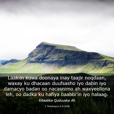 Picture 03 - 1 Timoteyos 6:9 SOM - Laakiin kuwa doonaya inay taajir noqdaan, waxay - Bible Verse Picture