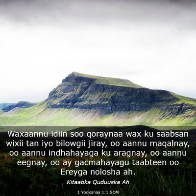 Picture 03 - 1 Yooxanaa 1:1 SOM - Waxaannu idiin soo qoraynaa wax ku saabsan wixii - Bible Verse Picture