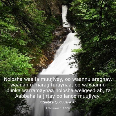 Picture 03 - 1 Yooxanaa 1:2 SOM - Nolosha waa la muujiyey, oo waannu aragnay, - Bible Verse Picture
