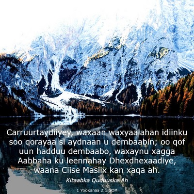 Picture 03 - 1 Yooxanaa 2:1 SOM - Carruurtaydiiyey, waxaan waxyaalahan idiinku soo - Bible Verse Picture