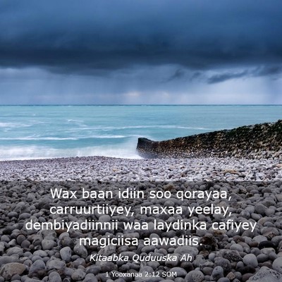 Picture 03 - 1 Yooxanaa 2:12 SOM - Wax baan idiin soo qorayaa, carruurtiiyey, maxaa - Bible Verse Picture