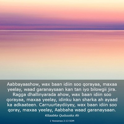 Picture 03 - 1 Yooxanaa 2:13 SOM - Aabbayaashow, wax baan idiin soo qorayaa, maxaa - Bible Verse Picture