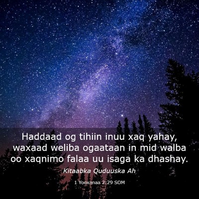 Picture 03 - 1 Yooxanaa 2:29 SOM - Haddaad og tihiin inuu xaq yahay, waxaad weliba - Bible Verse Picture