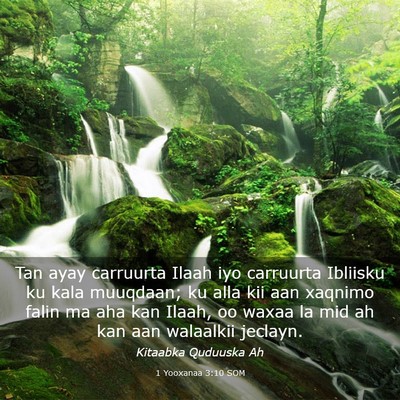 Picture 03 - 1 Yooxanaa 3:10 SOM - Tan ayay carruurta Ilaah iyo carruurta Ibliisku - Bible Verse Picture