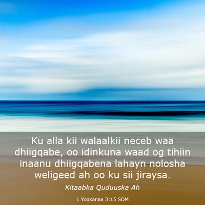 Picture 03 - 1 Yooxanaa 3:15 SOM - Ku alla kii walaalkii neceb waa dhiigqabe, oo - Bible Verse Picture