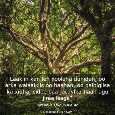 Picture 03 - 1 Yooxanaa 3:17 SOM - Laakiin kan leh xoolaha dunidan, oo arka - Bible Verse Picture
