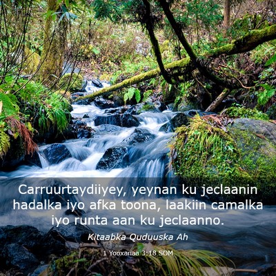 Picture 03 - 1 Yooxanaa 3:18 SOM - Carruurtaydiiyey, yeynan ku jeclaanin hadalka iyo - Bible Verse Picture
